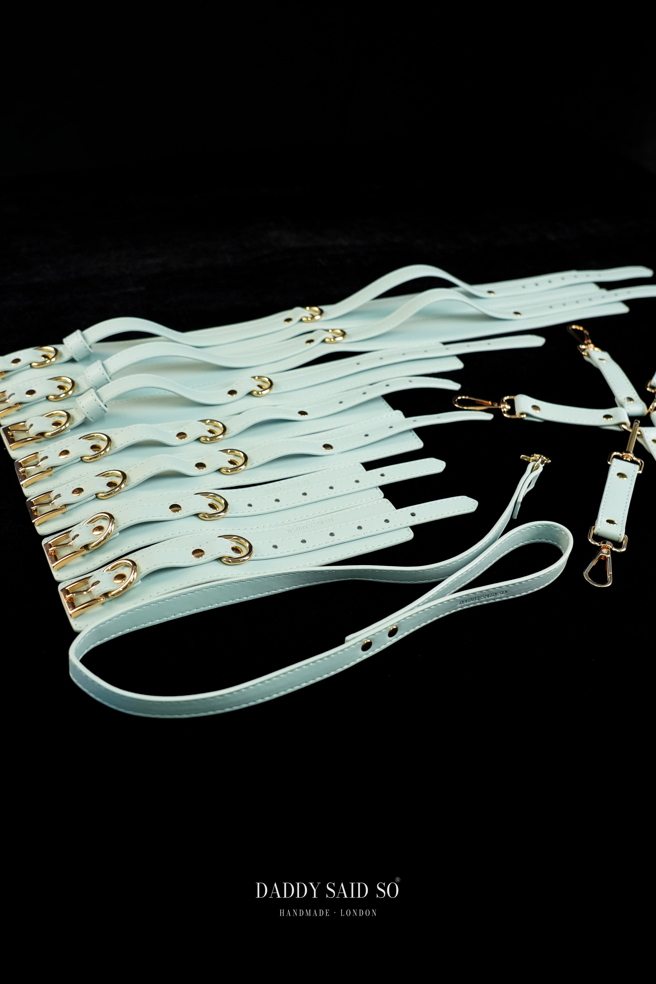 Sovereign Restraint System