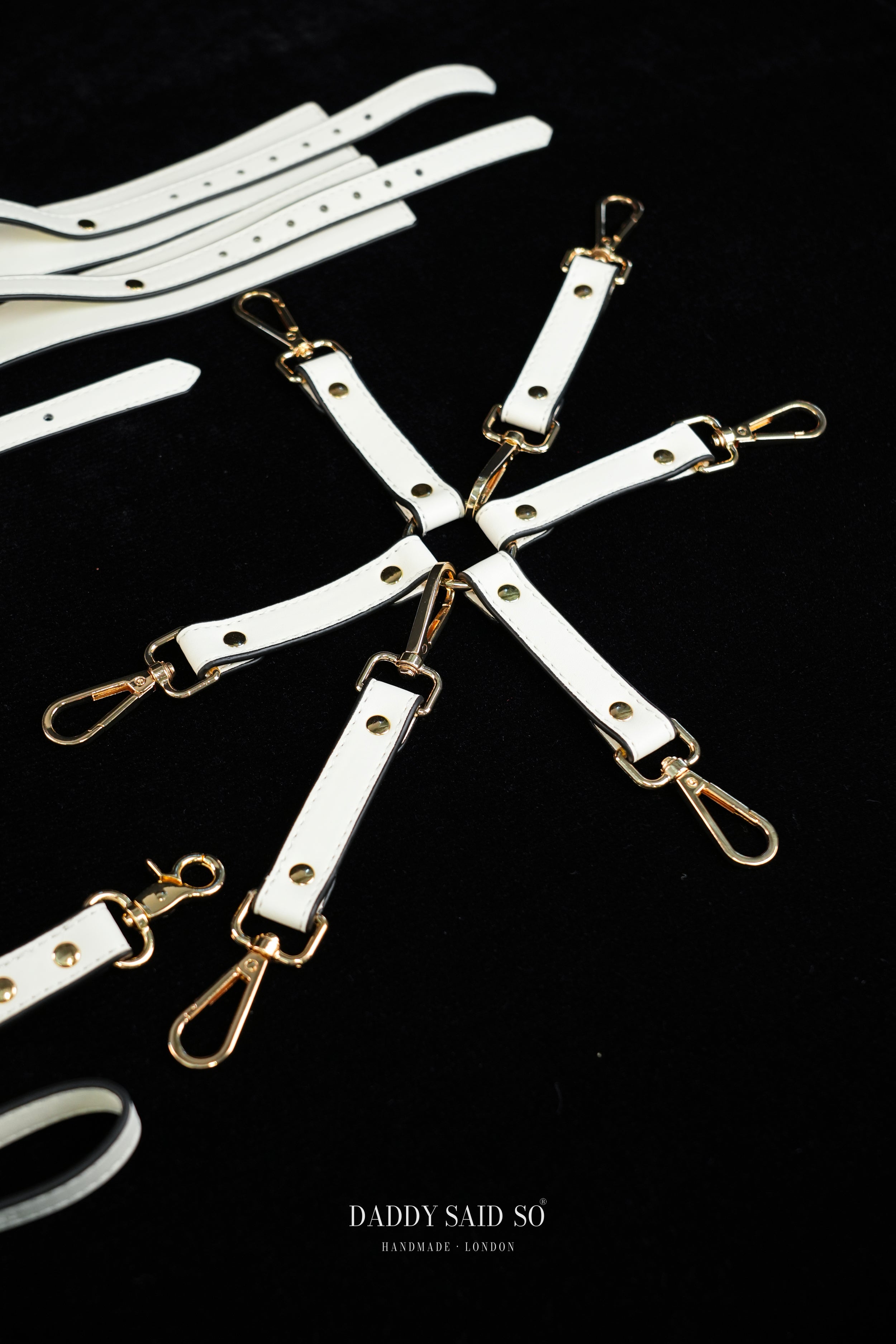 Sovereign Restraint System