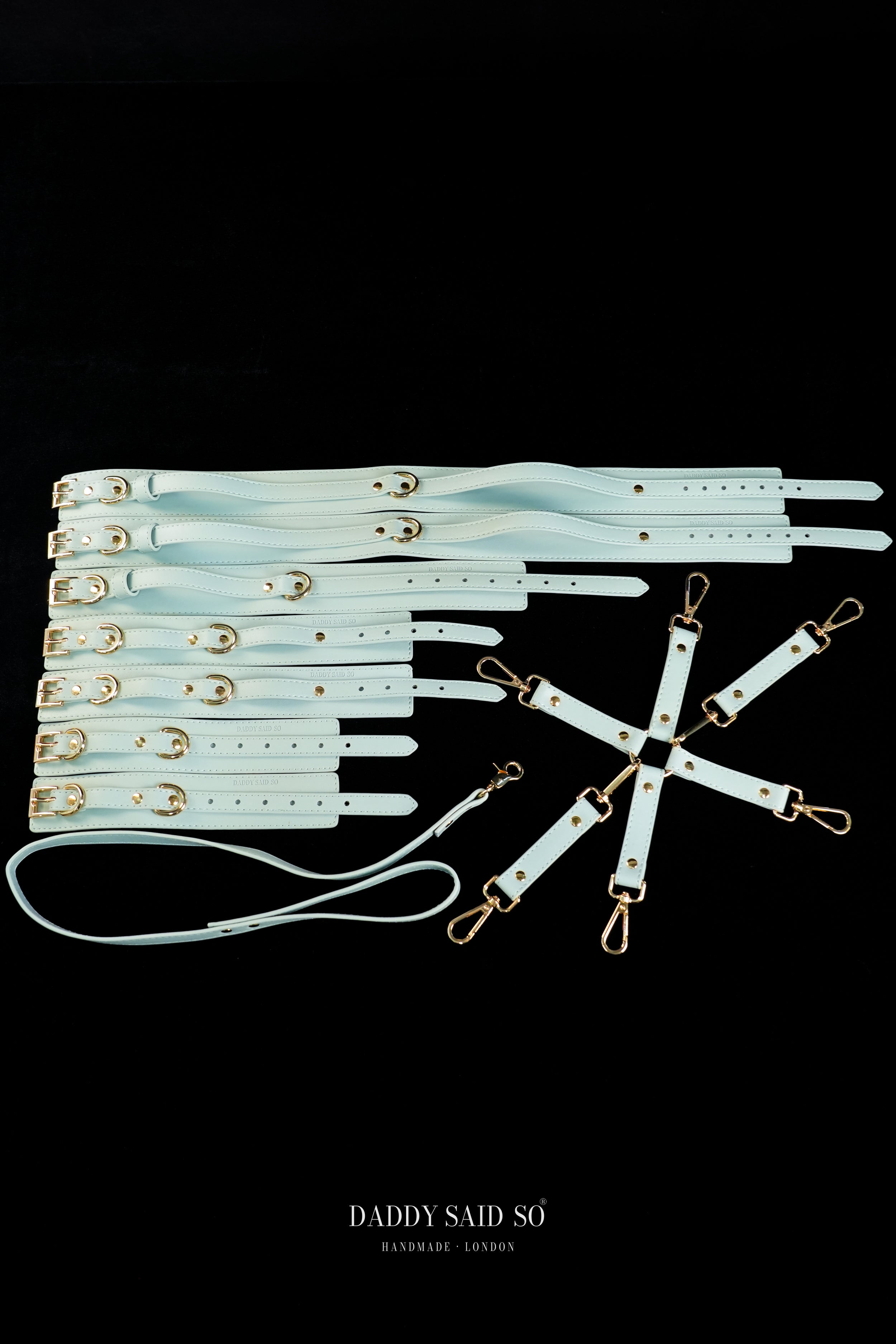 Sovereign Restraint System